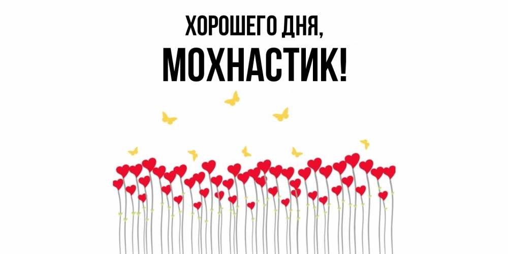 Открытка  для любимых и родных. мохнастик, Хорошего дня  