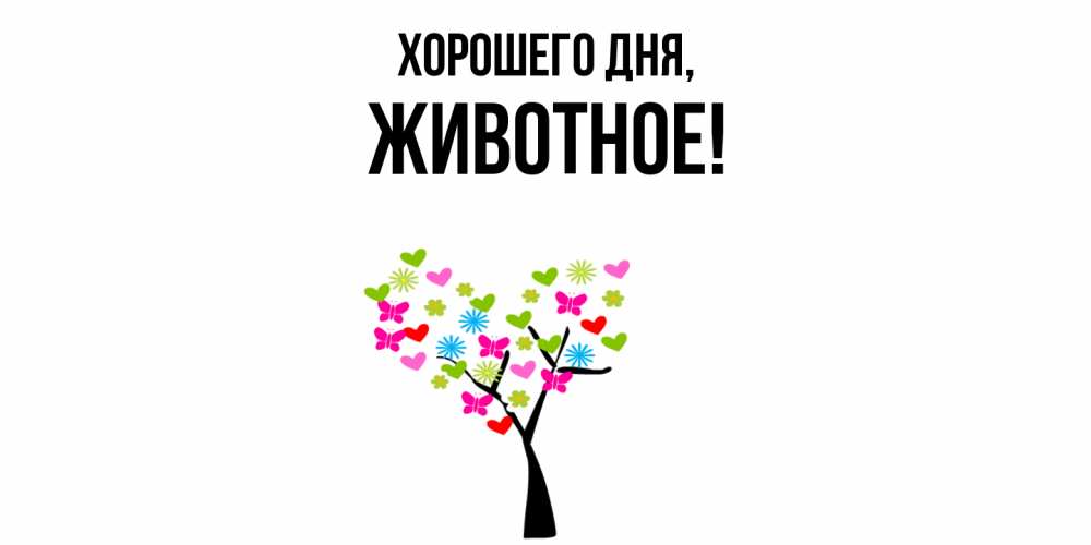 Открытка  для любимых и родных. животное, Хорошего дня  