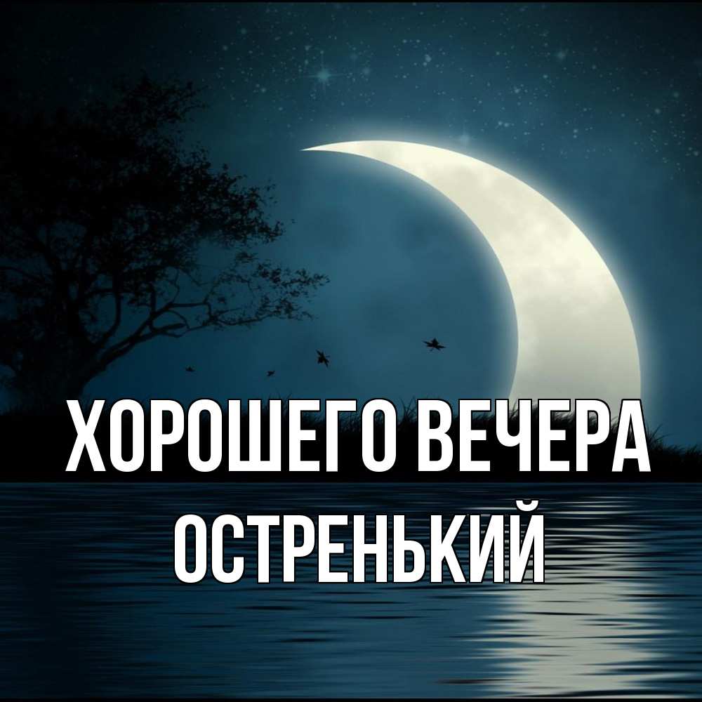 Открытка  для любимых и родных. остренький, Хорошего вечера  