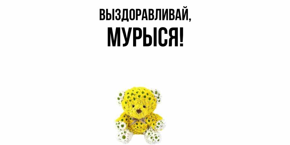 Открытка  для любимых и родных. мурыся, Выздоравливай  