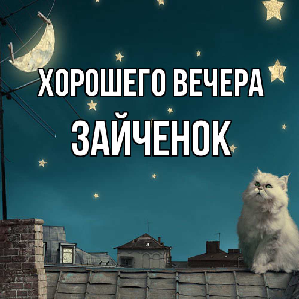 Картинка Хорошего вечера, Зайченок