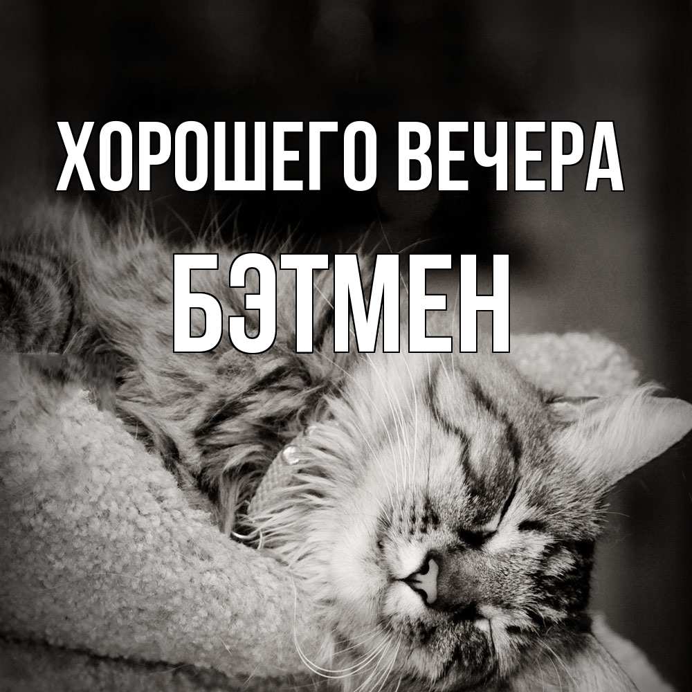 Картинка Хорошего вечера, бэтмен