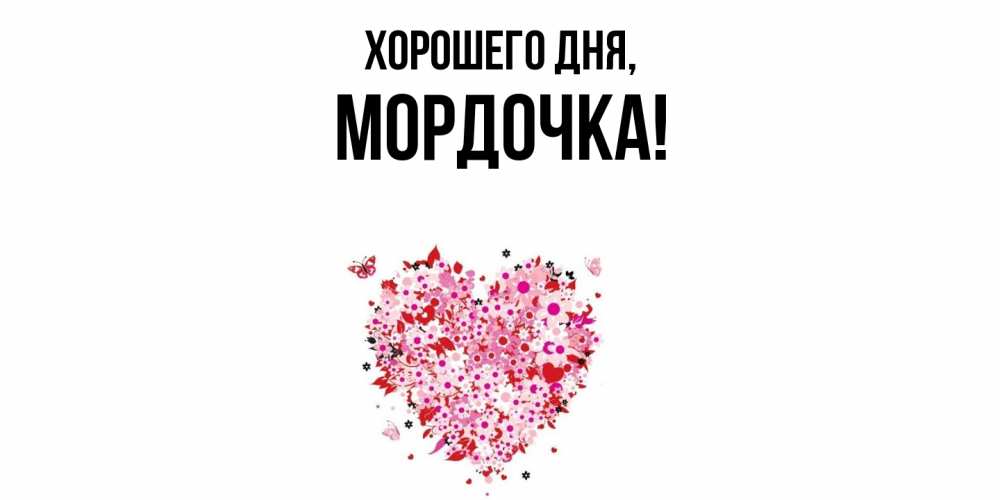 Открытка  для любимых и родных. мордочка, Хорошего дня  