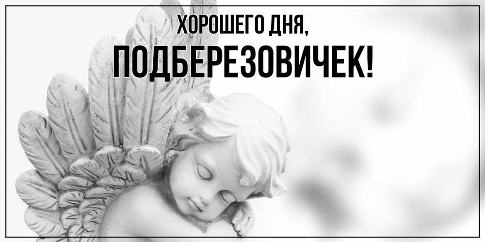 Открытка  для любимых и родных. подберезовичек, Хорошего дня  