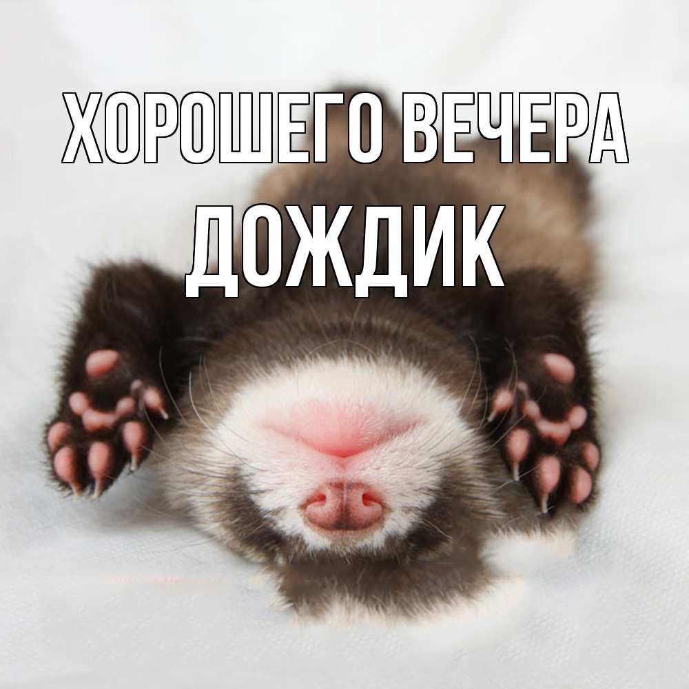 Открытка  для любимых и родных. дождик, Хорошего вечера  