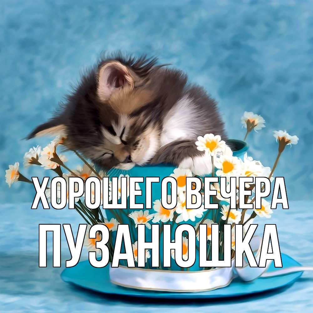 Открытка  для любимых и родных. пузанюшка, Хорошего вечера  