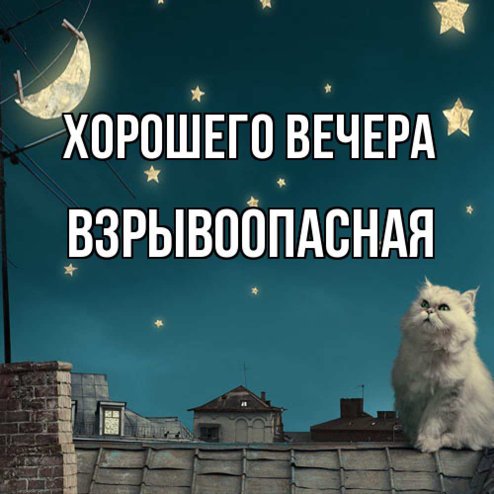 Открытка  для любимых и родных. взрывоопасная, Хорошего вечера  