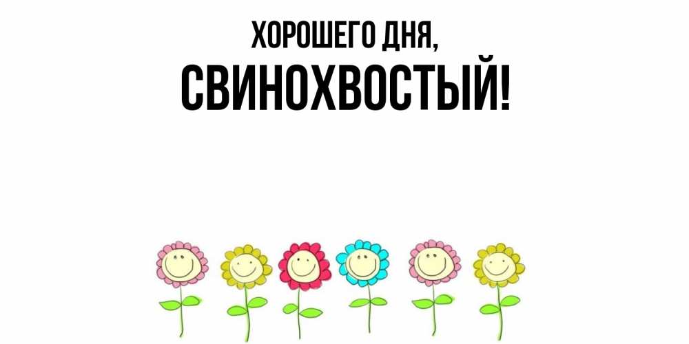 Открытка  для любимых и родных. свинохвостый, Хорошего дня  