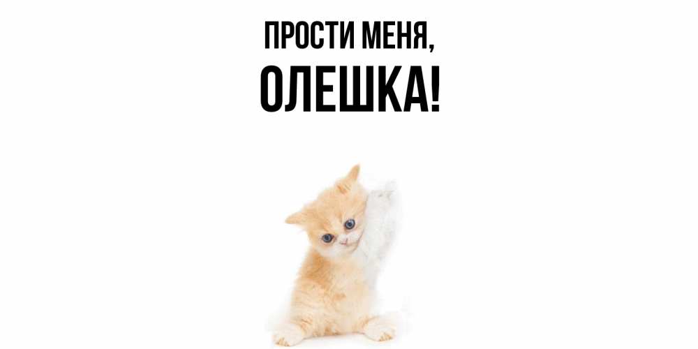 Открытка  для любимых и родных. олешка, Прости меня  