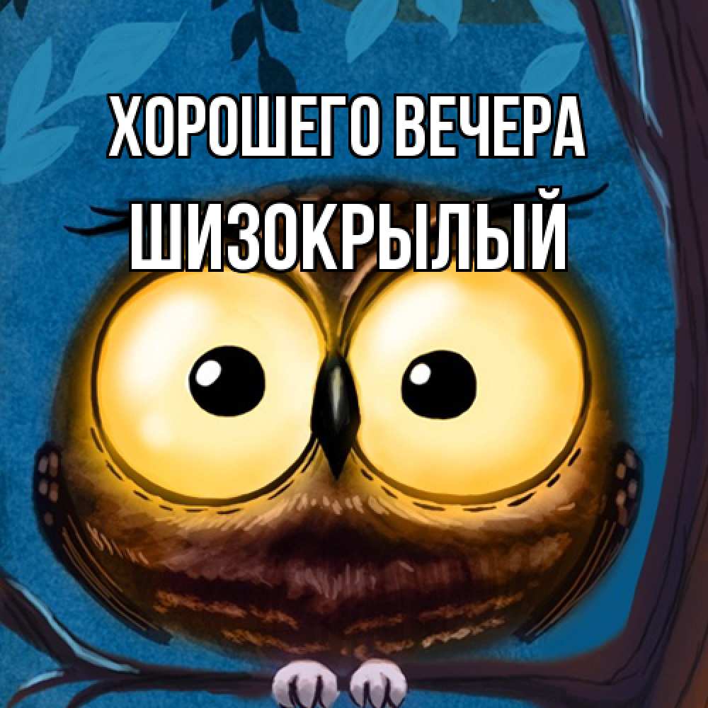 Открытка  для любимых и родных. шизокрылый, Хорошего вечера  