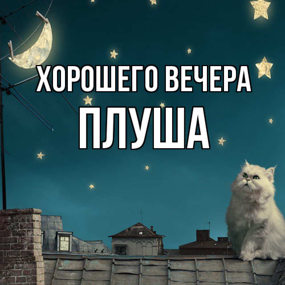 Картинка Хорошего вечера, плуша
