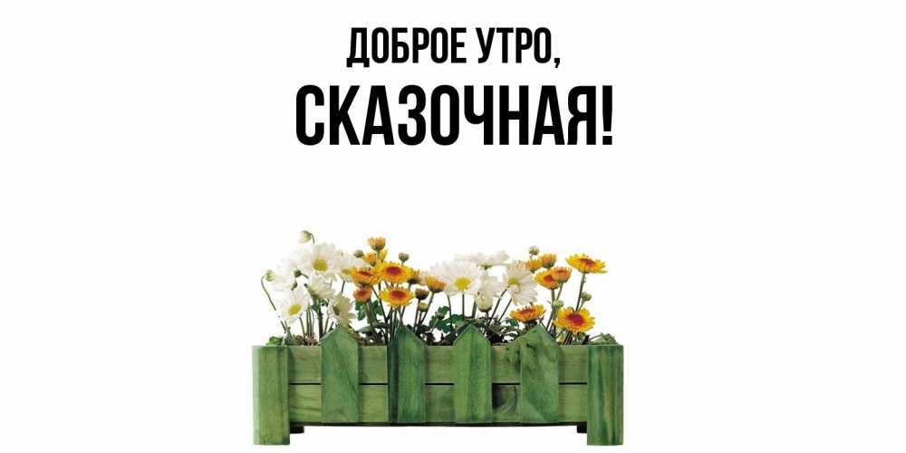 Открытка  для любимых и родных. сказочная, Доброе утро  