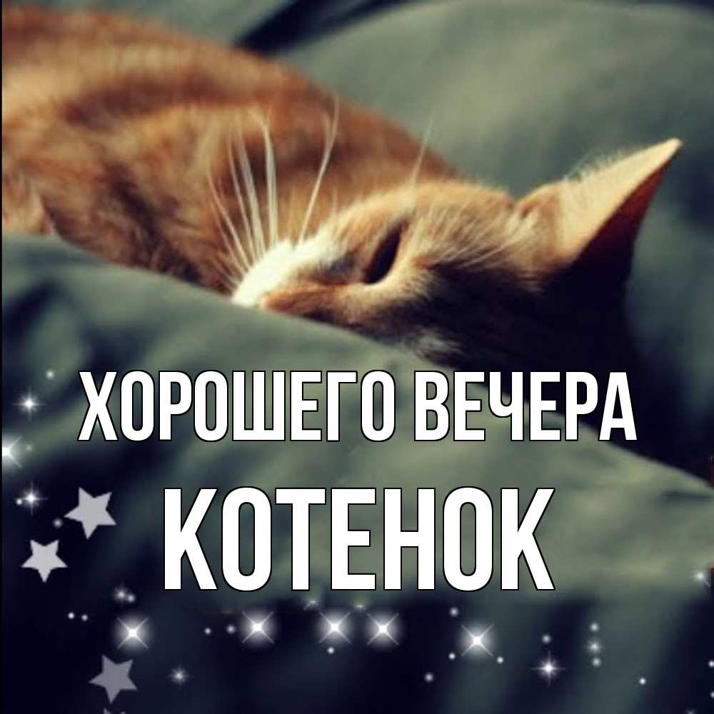 Открытка с именем, Котенок, Хорошего вечера
