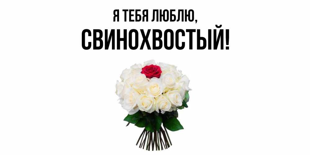 Открытка  для любимых и родных. свинохвостый, Я тебя люблю  