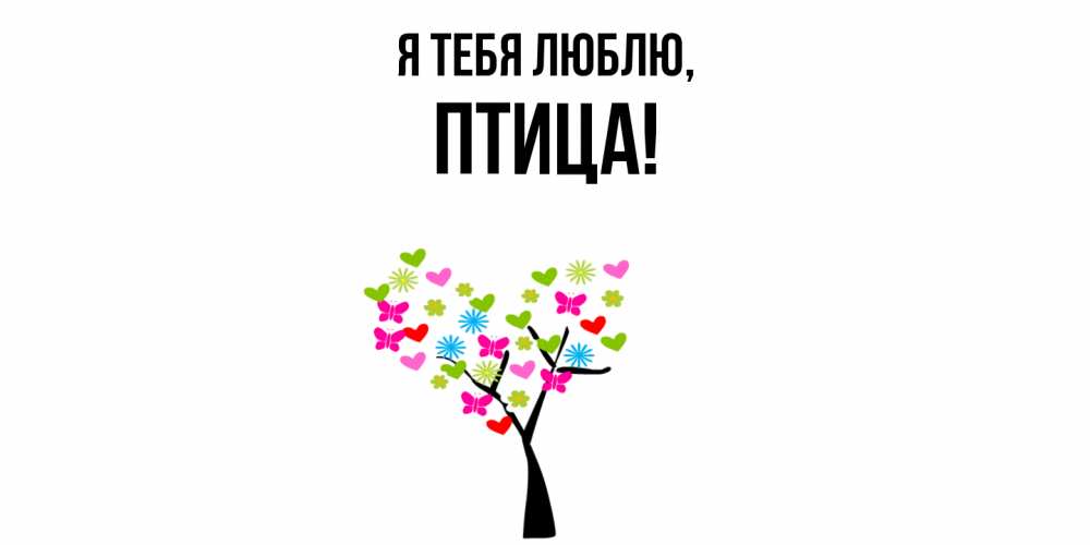 Картинка Я тебя люблю, птица