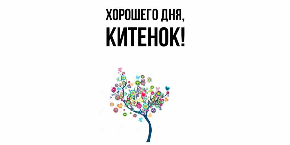 Открытка  для любимых и родных. китенок, Хорошего дня  