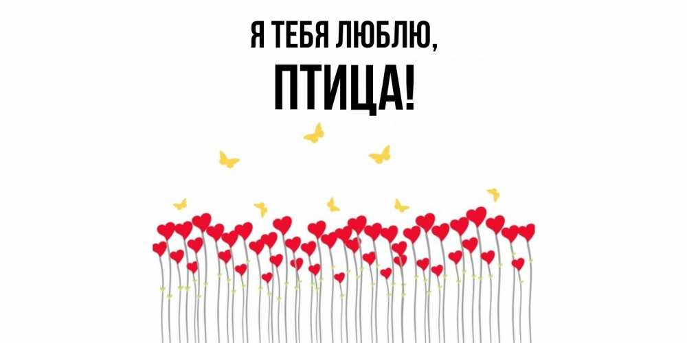 Картинка Я тебя люблю, птица