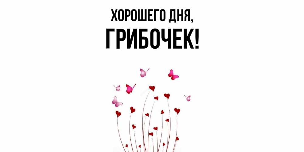Открытка  для любимых и родных. грибочек, Хорошего дня  