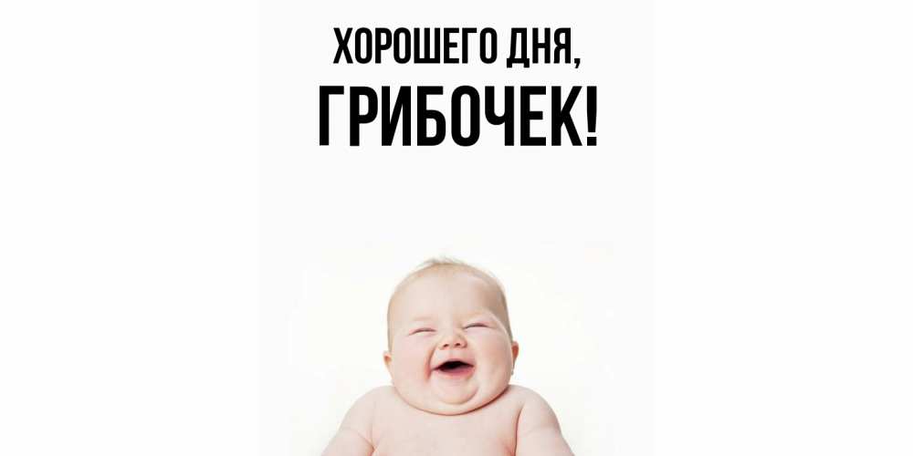 Открытка  для любимых и родных. грибочек, Хорошего дня  