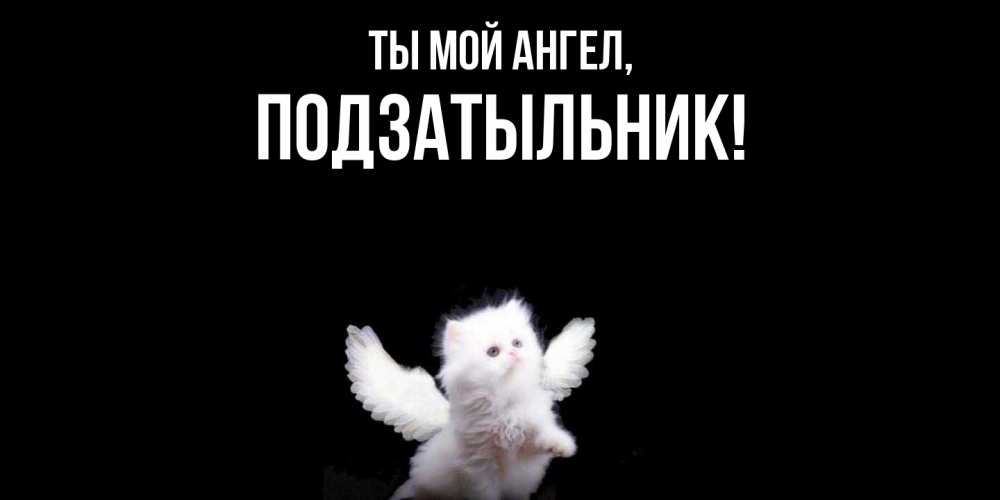 Открытка  для любимых и родных. подзатыльник, Ты мой ангел  