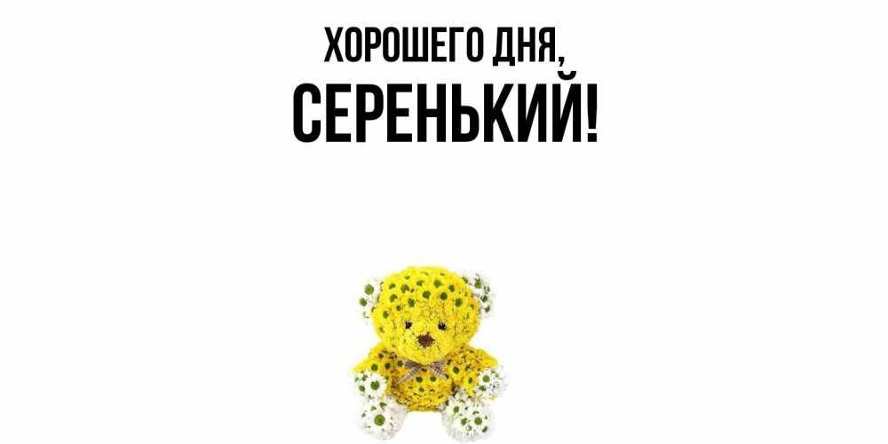 Открытка  для любимых и родных. серенький, Хорошего дня  