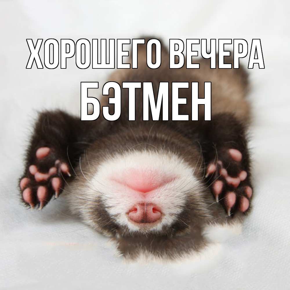 Открытка  для любимых и родных. бэтмен, Хорошего вечера  