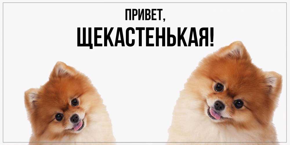 Открытка  для любимых и родных. щекастенькая, Привет  
