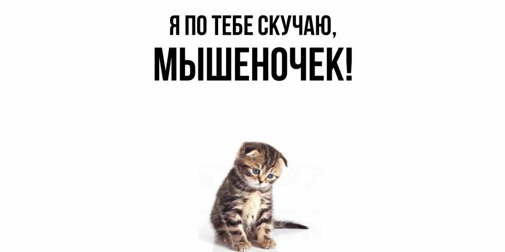 Картинка Я по тебе скучаю, мышеночек
