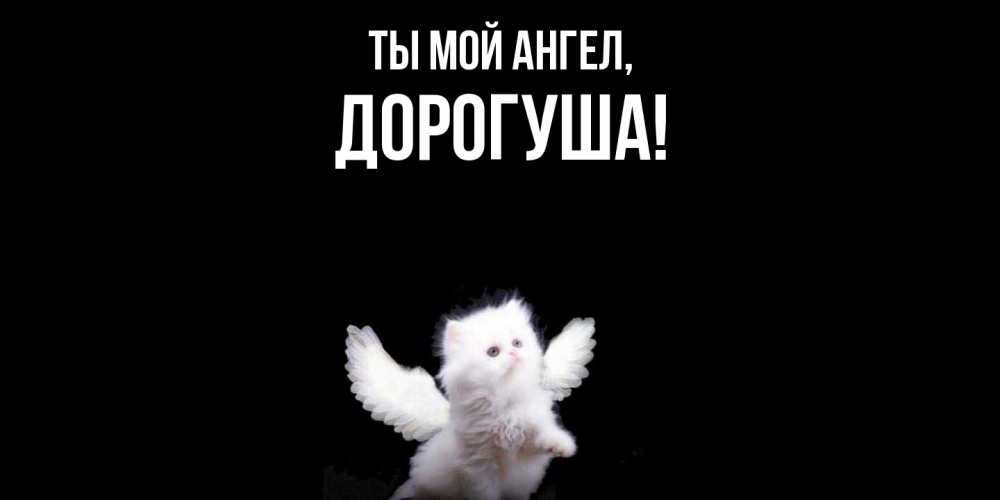 Открытка  для любимых и родных. дорогуша, Ты мой ангел  