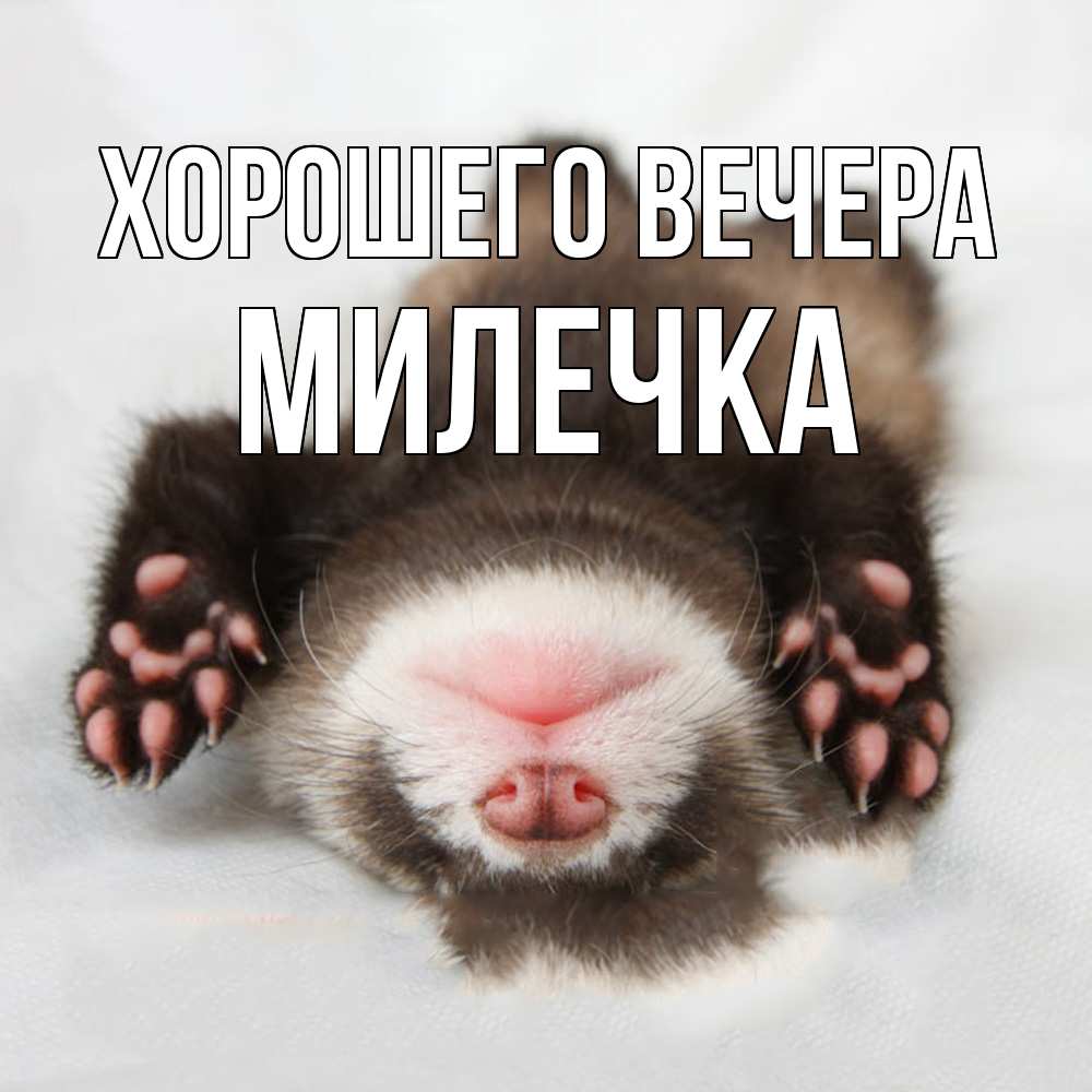 Открытка  для любимых и родных. милечка, Хорошего вечера  