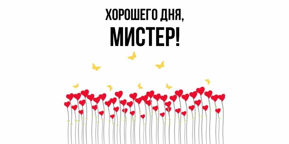 Открытка  для любимых и родных. мистер, Хорошего дня  