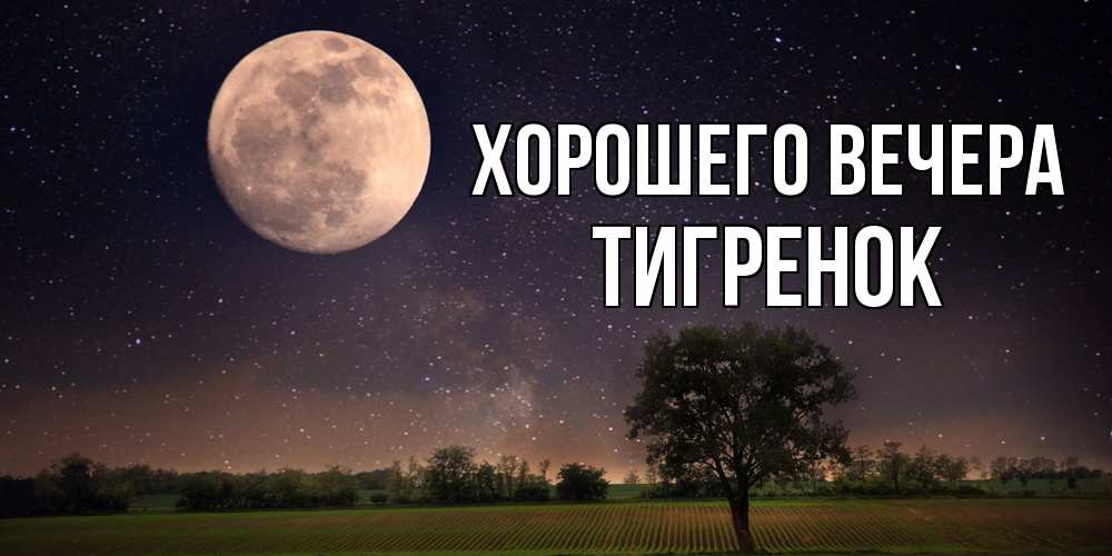 Открытка  для любимых и родных. Тигренок, Хорошего вечера  
