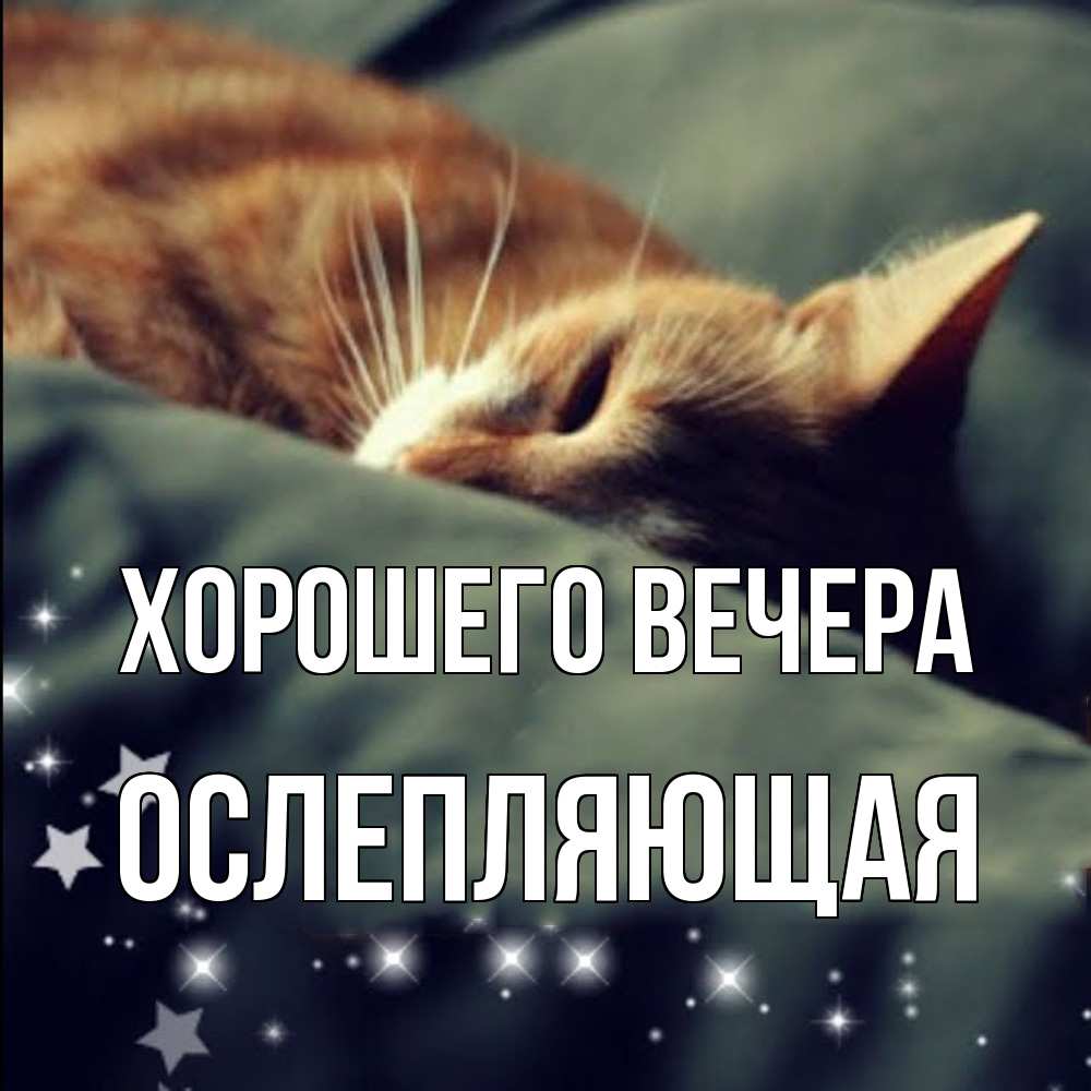 Открытка  для любимых и родных. ослепляющая, Хорошего вечера  