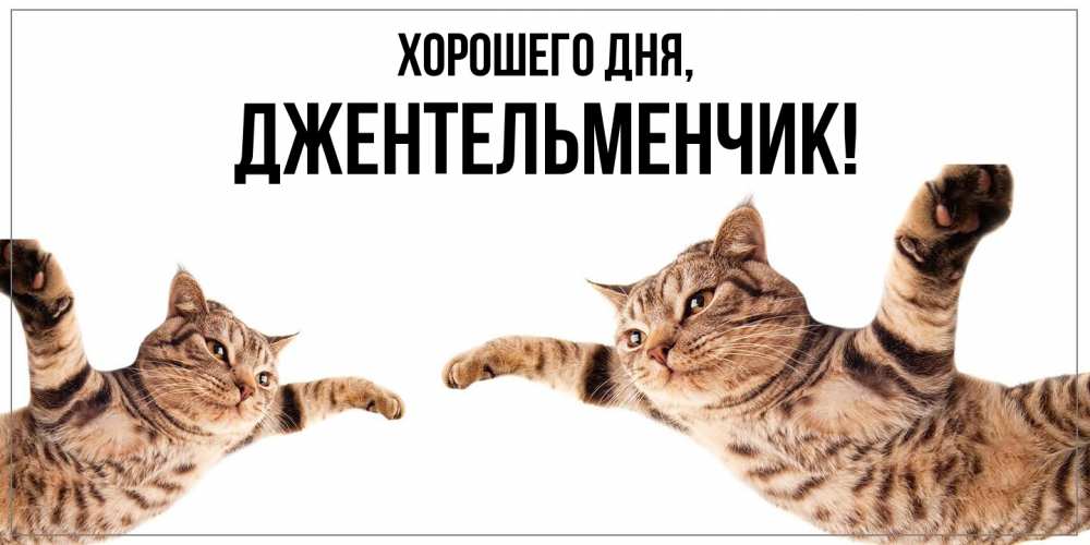 Открытка  для любимых и родных. джентельменчик, Хорошего дня  