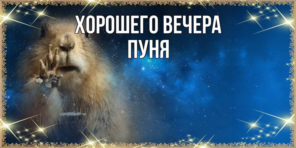 Открытка  для любимых и родных. пуня, Хорошего вечера  