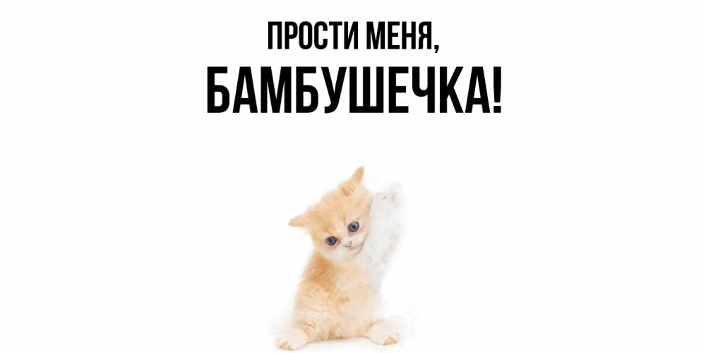 Картинка Прости меня, бамбушечка