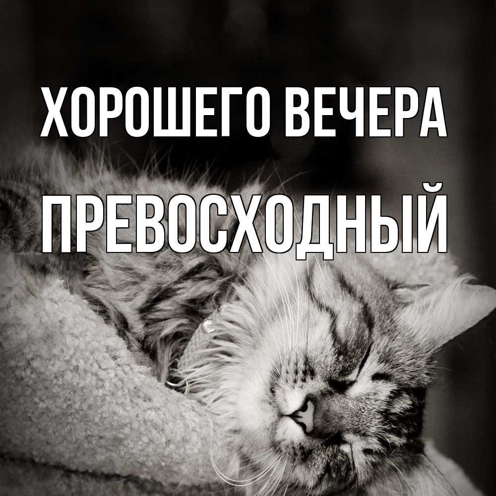 Картинка Хорошего вечера, превосходный