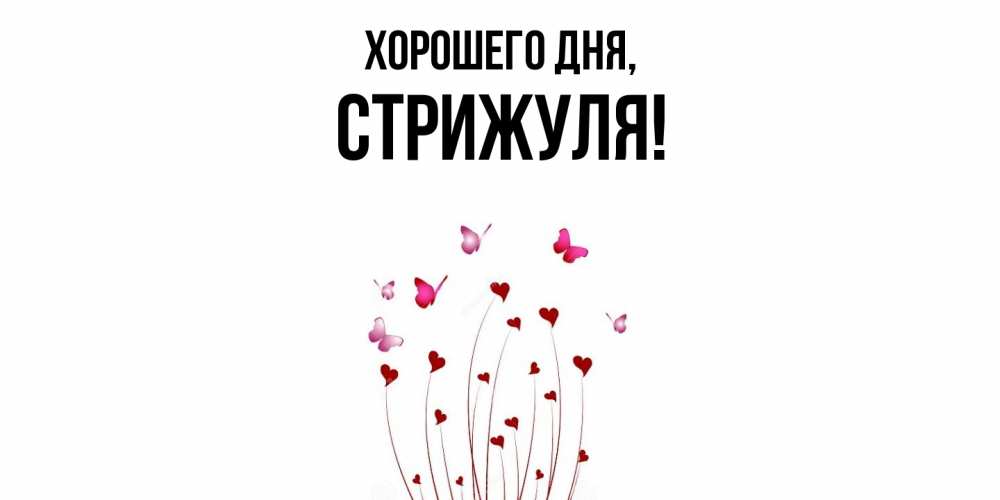 Открытка  для любимых и родных. стрижуля, Хорошего дня  