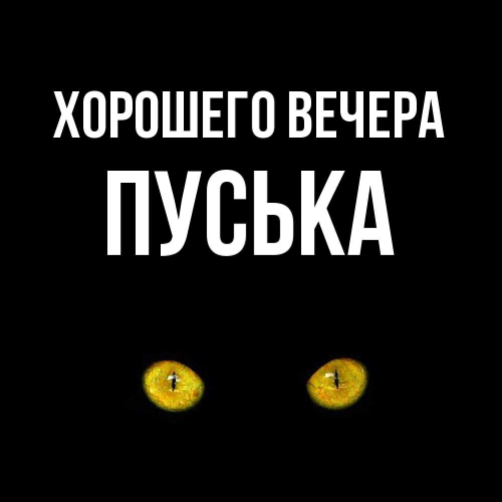 Открытка  для любимых и родных. пуська, Хорошего вечера  