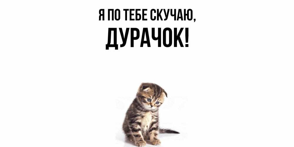 Картинка Я по тебе скучаю, дурачок