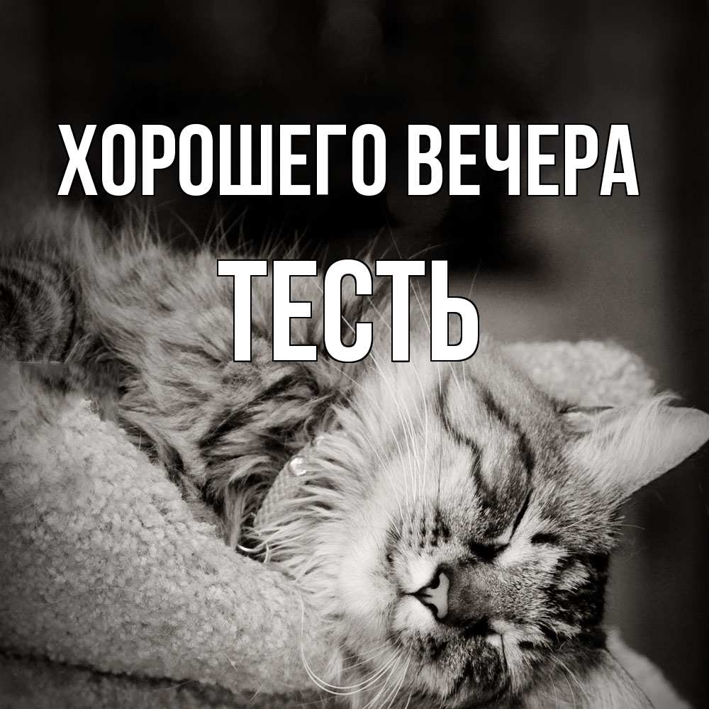 Открытка с именем, Тесть, Хорошего вечера