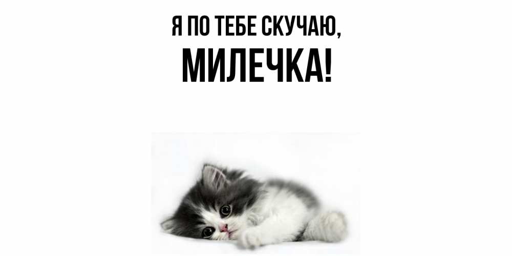 Картинка Я по тебе скучаю, милечка