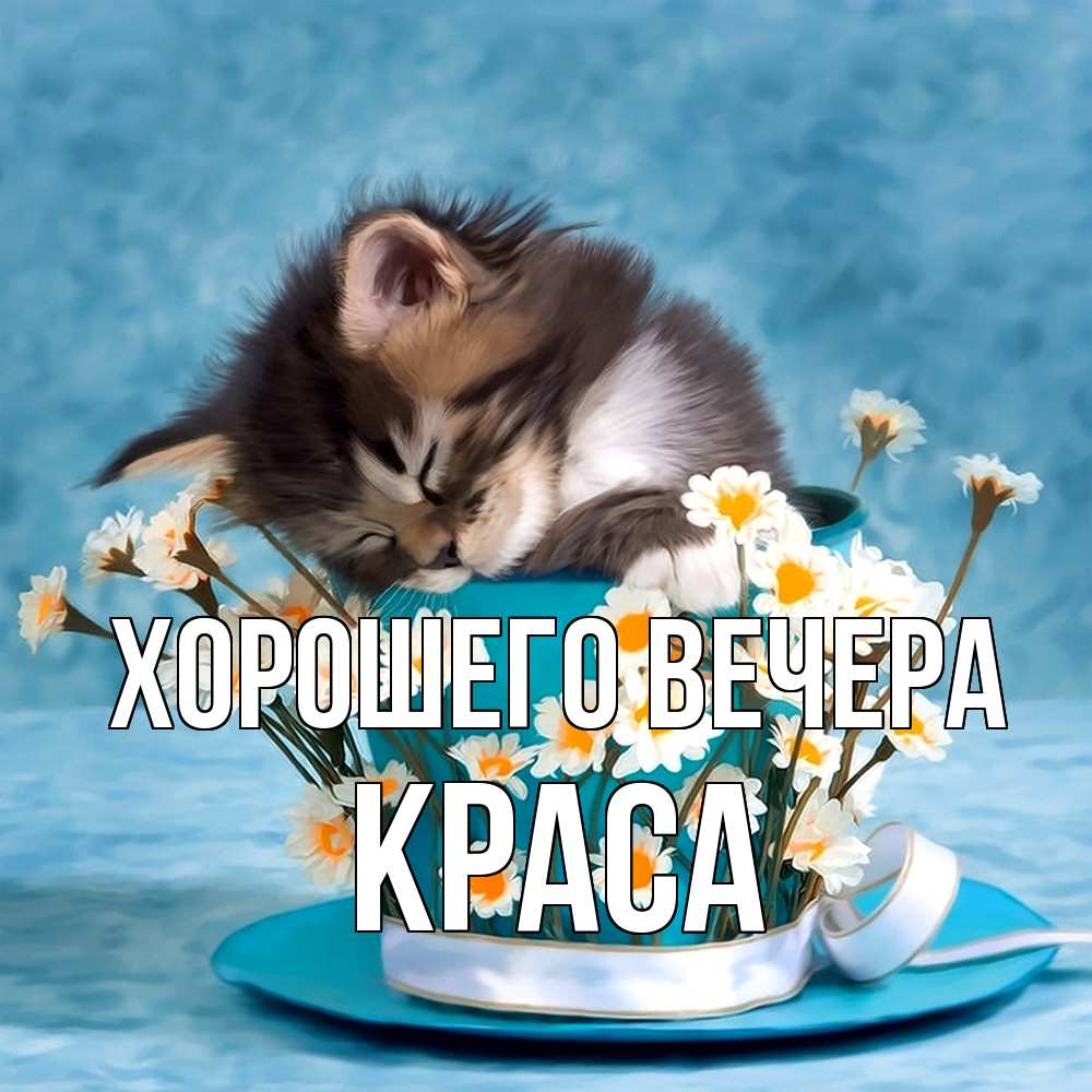 Открытка  для любимых и родных. краса, Хорошего вечера  