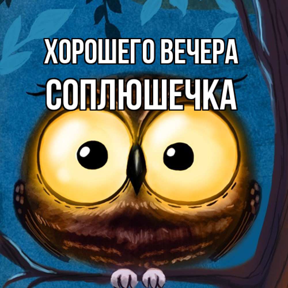 Картинка Хорошего вечера, соплюшечка