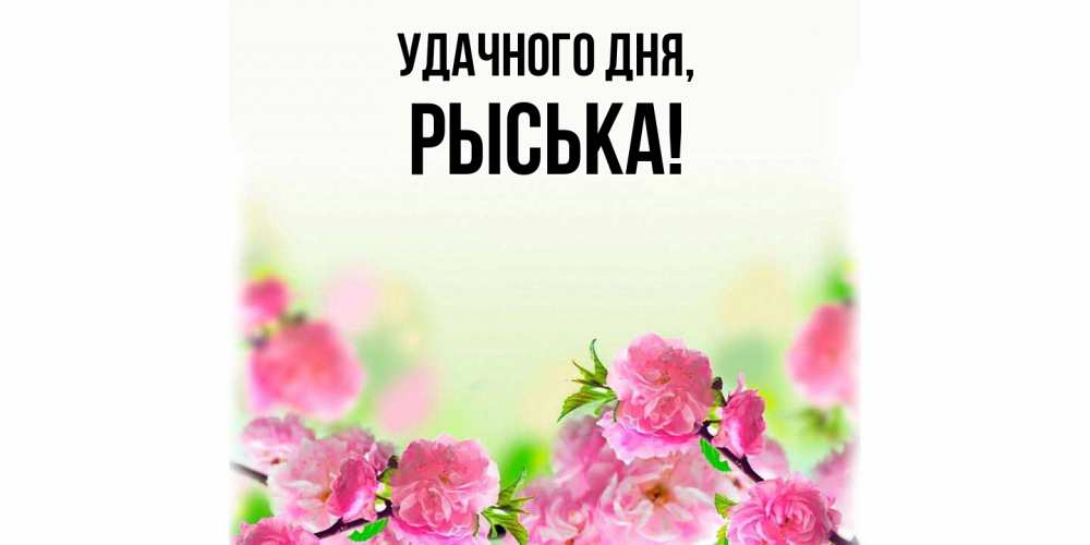 Открытка  для любимых и родных. рыська, Удачного дня  