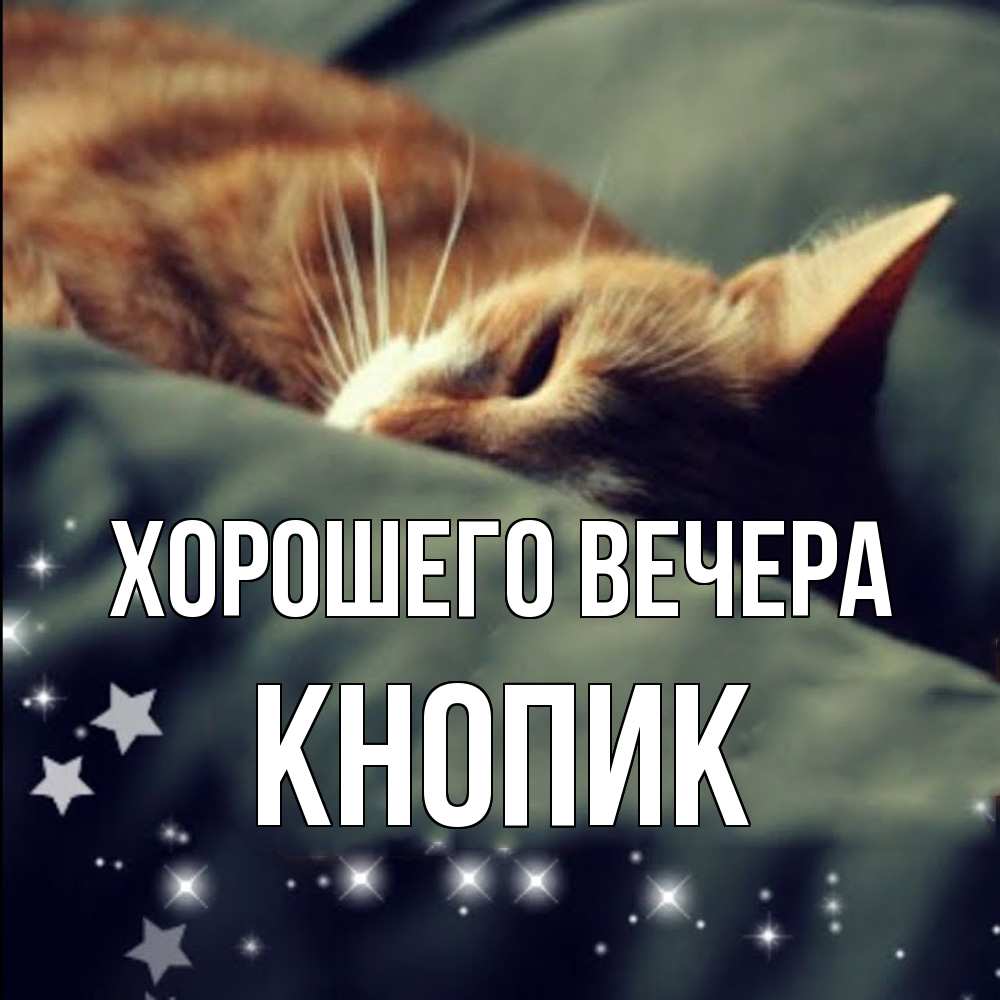 Открытка  для любимых и родных. кнопик, Хорошего вечера  