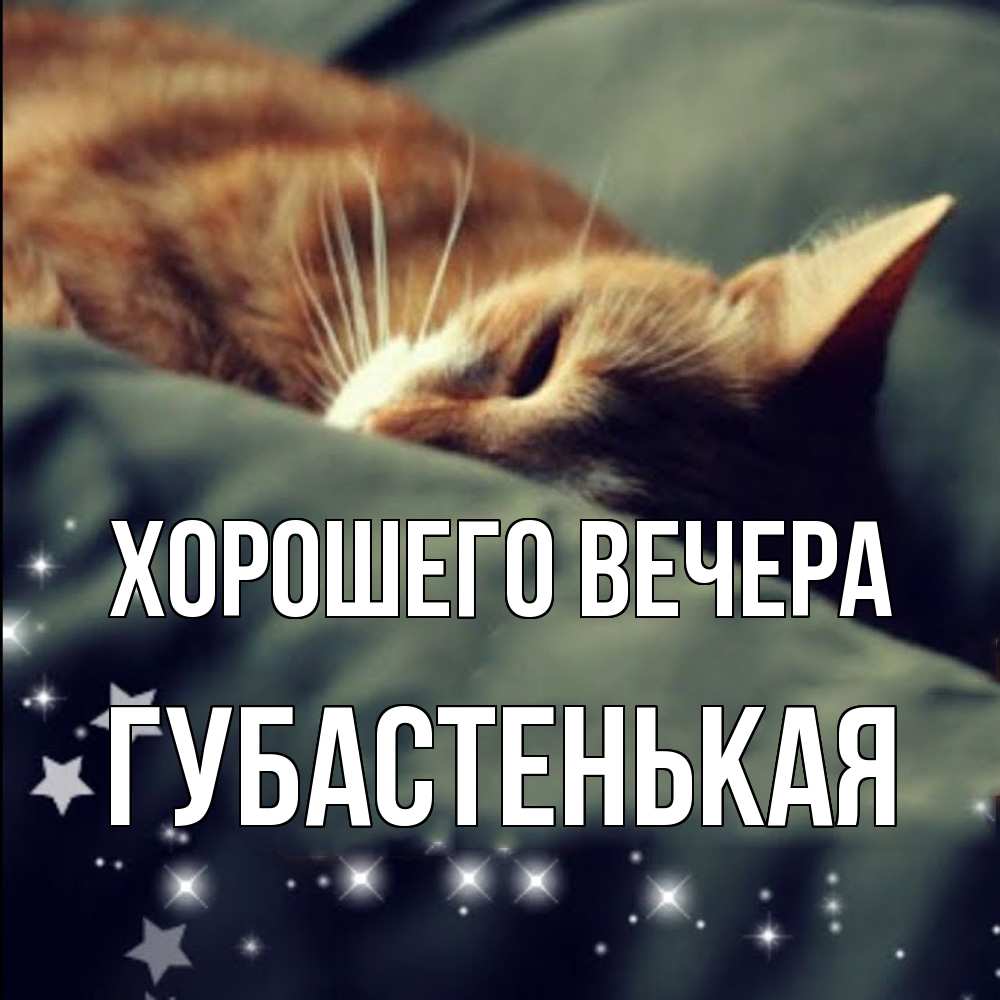 Открытка  для любимых и родных. губастенькая, Хорошего вечера  