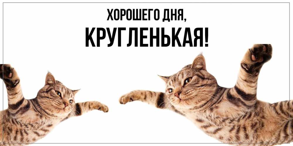 Открытка  для любимых и родных. кругленькая, Хорошего дня  