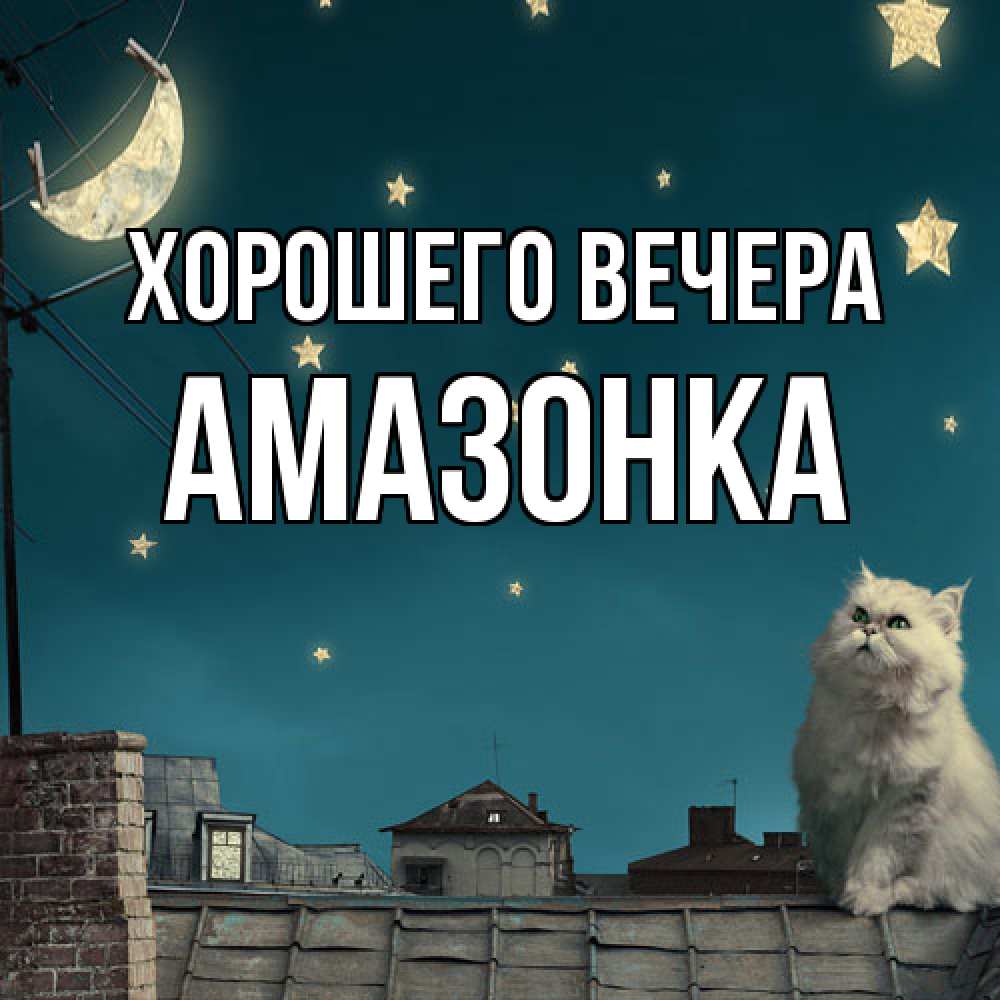 Картинка Хорошего вечера, амазонка