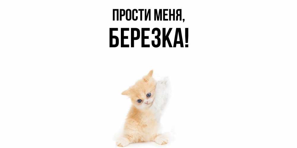 Открытка  для любимых и родных. беpезка, Прости меня  